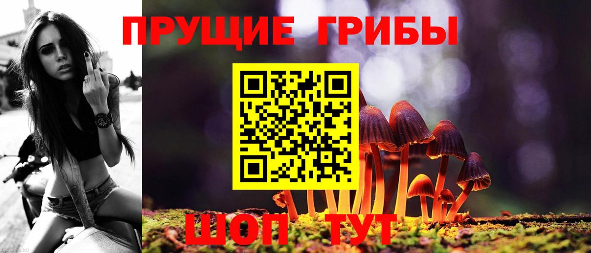 Галлюциногенные грибы Cubensis Екатеринбург
